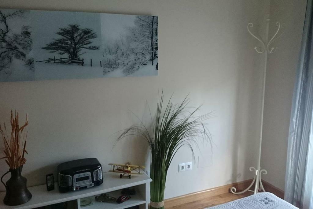 Apartamento Vistas A La Marisma Διαμέρισμα Gama Εξωτερικό φωτογραφία